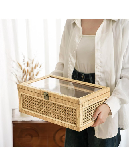 Juego de 2 Cajas Decorativas de Ratán Dendrovia con Tapa