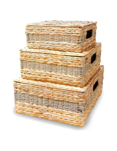 Cestas de Almacenamiento Bezoval - Juego de 3 Rectangulares con Tapa