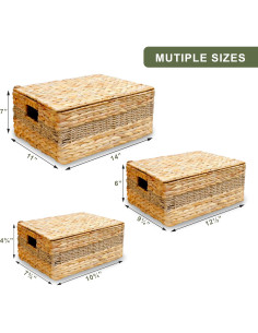 Cestas de Almacenamiento Bezoval - Juego de 3 Rectangulares con Tapa 2