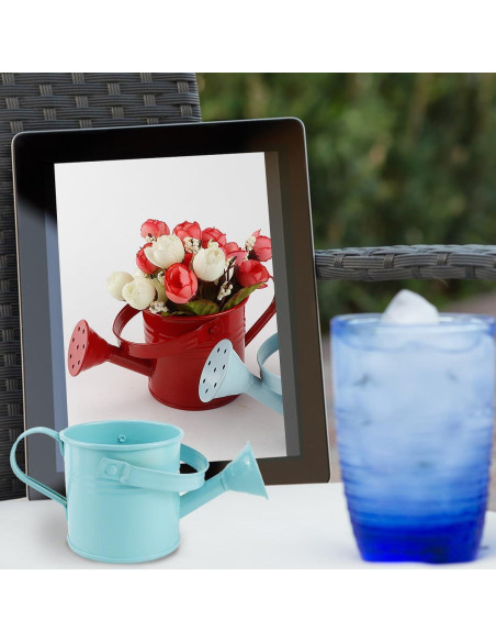 2 Regaderas de Metal para Niños LNQ LUNIQI 200ml Azul/Rojo