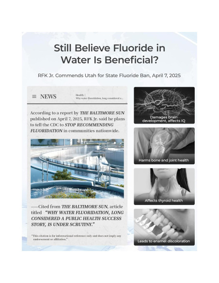 Dispensador de Agua Filtrada Waterdrop WD-WFD-02, 35 Tazas, Negro