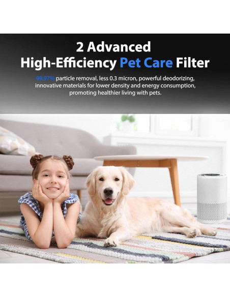 Filtro de Reemplazo 2 Pack para Purificador Levoit Core 200S