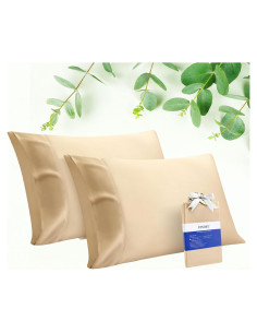 Funda de Almohada Reina Stnomy Eucalipto Tencel 300TC Champagne