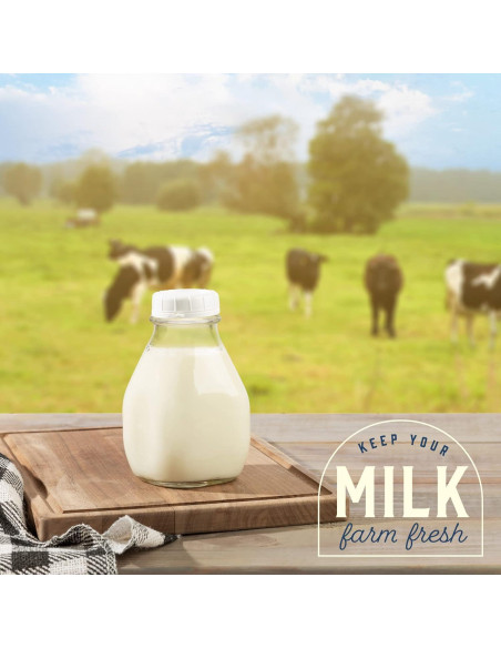 Botella de Vidrio Kitchentoolz 16 oz con Tapa y Pico Vertedor