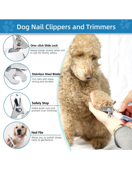 Kit de Cepillos para Perros Lanswood 6 Piezas Azul