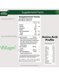 Mezcla de Superalimentos Buried Treasure Green20 Fusion 946ml 2