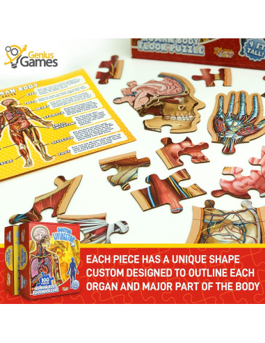 Rompecabezas de Anatomía Humana Genius Games 100 Piezas