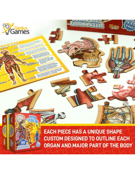 Rompecabezas de Anatomía Humana Genius Games 100 Piezas