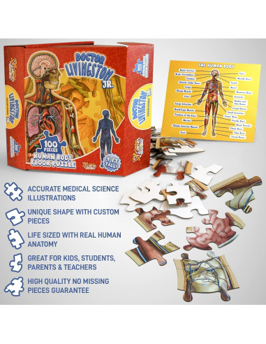 Rompecabezas de Anatomía Humana Genius Games 100 Piezas