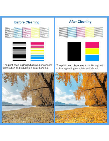 Kit de Limpieza de Cabezal DTF DTG TKNCCC 100ML para Impresoras