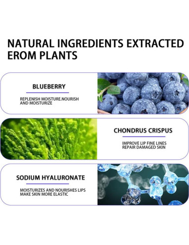 Mascarilla Hidratante para Labios Charm Kiss 20 Pcs Azul