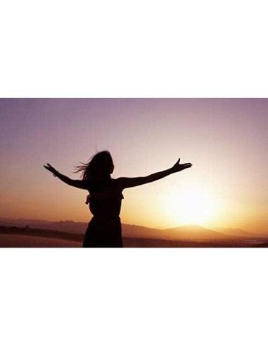 Suplemento Desintoxicante VIP Vitaminas - 200 Cápsulas