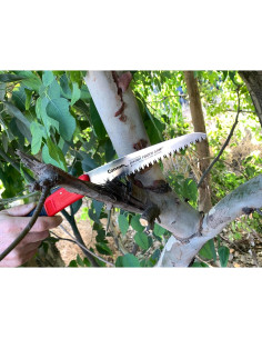 Sierra Plegable Corona RS 7041 7" (17.78 cm) Dientes de Cuchilla 2