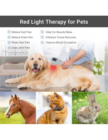 Dispositivo de Terapia de Luz Roja YOVECK 940nm 860nm 660nm