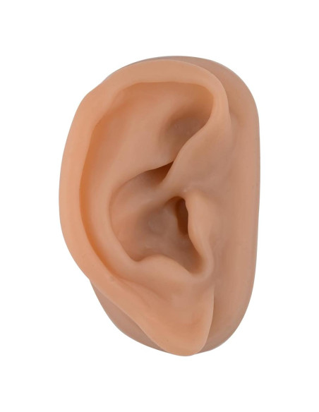 Modelo de Oído de Silicona SimCoach para Acupuntura y Piercing
