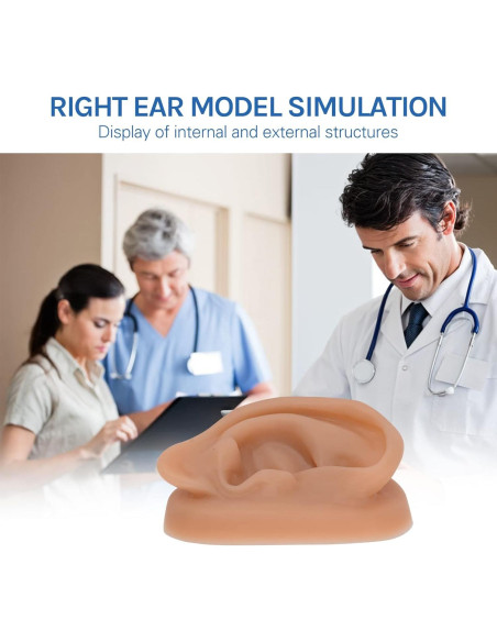 Modelo de Oído de Silicona SimCoach para Acupuntura y Piercing