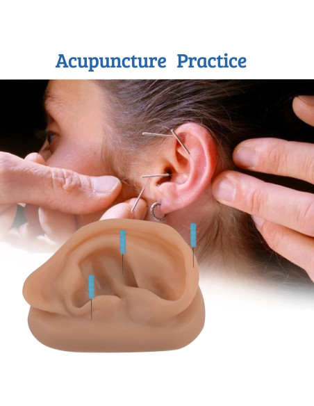 Modelo de Oído de Silicona SimCoach para Acupuntura y Piercing