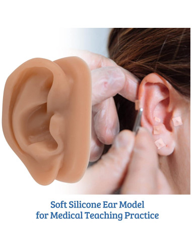 Modelo de Oído de Silicona SimCoach para Acupuntura y Piercing