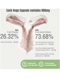 Cápsulas de Amla 950mg - Suplemento Herbal Vegano 60 Unidades 2