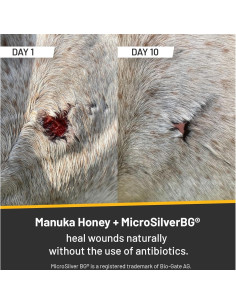 Absorbine Silver Honey Spray Gel 236.6ml - Cuidado de Heridas 2