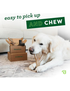 Benebone Paquete de 4 Juguetes para Perros Medianos 2