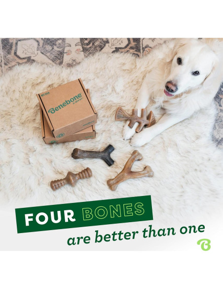 Benebone Paquete de 4 Juguetes para Perros Medianos