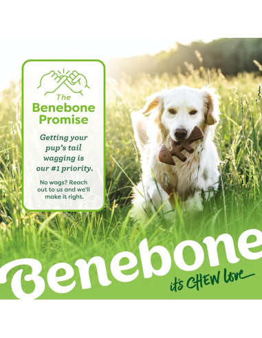 Benebone Paquete de 4 Juguetes para Perros Medianos