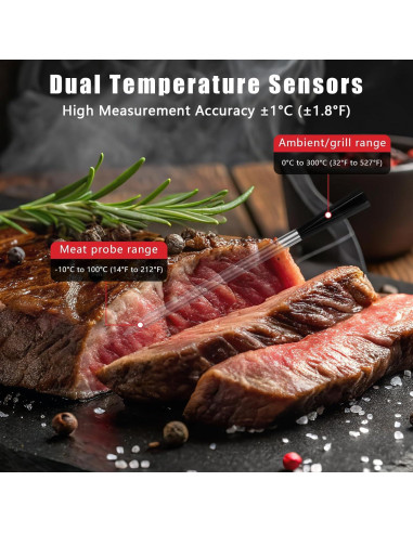 Termómetro de Carne Bluetooth Inteligente Goldgood DT-131