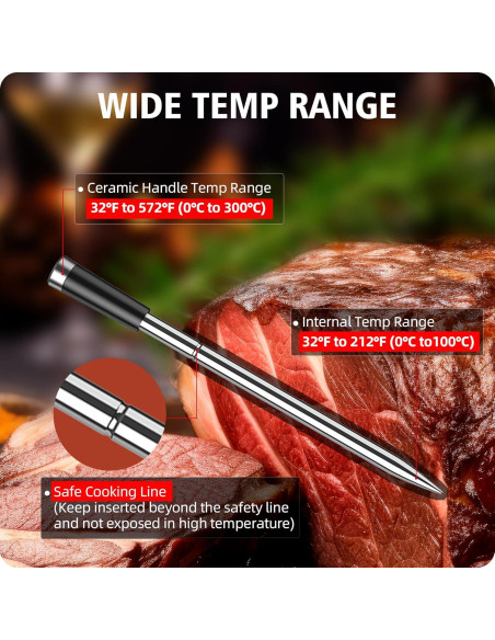 Termómetro Digital Inalámbrico BFOUR con 2 Probes para Carne