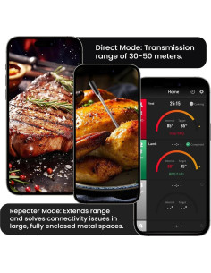 Termómetro de Carne Inalámbrico Buzzeap CXL001-R Bluetooth 213m 2