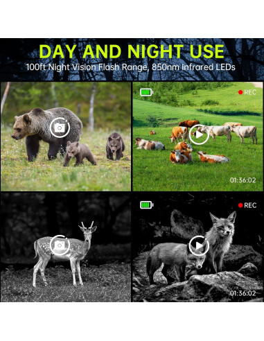 Cámara de sendero 4K FKPCAM con visión nocturna y WiFi