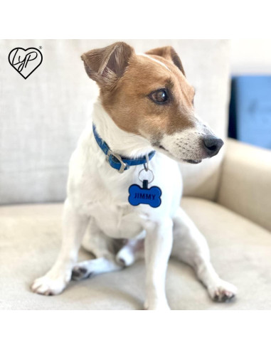 Placa de Identificación Silenciosa Love Your Pets Hueso Naranja