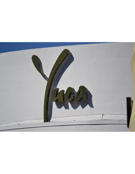 Lente Telefoto 2.2X 72mm OPTURA HD para Sony Cybershot