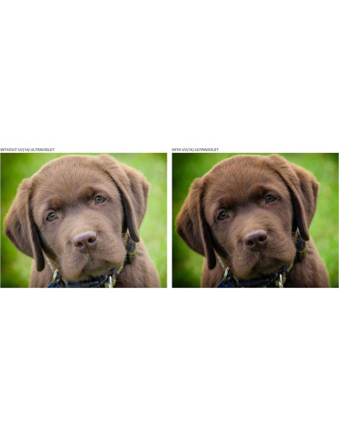 Kit de Filtros de Lente 62mm Digital Nc - UV, Polarizador y FLD