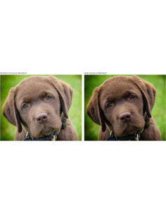 Juego de Filtros de Lente Zeiss 32mm f/1.8 - UV, Polarizador, ND8 2