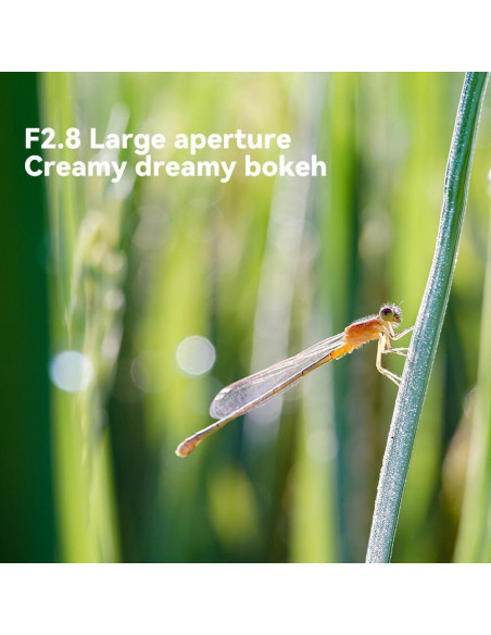 Objetivo Macro TTArtisan 40mm F2.8 MFT para Olympus/Panasonic