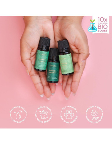 Juego de Aceites Aromáticos Carnatia Navidad - 6 Fragancias Naturales