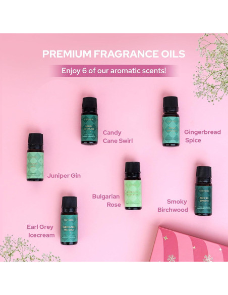 Juego de Aceites Aromáticos Carnatia Navidad - 6 Fragancias Naturales