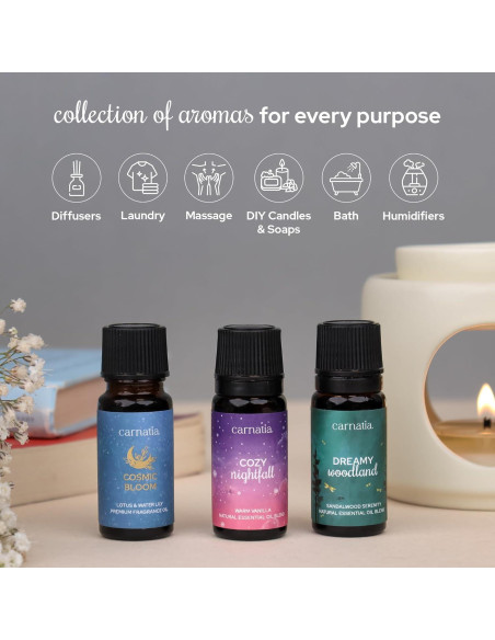 Juego de Aceites Aromáticos Carnatia Navidad - 6 Fragancias Naturales