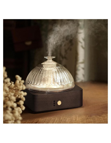 Difusor de Aceite Esencial Levoair de Vidrio 200ml con Madera