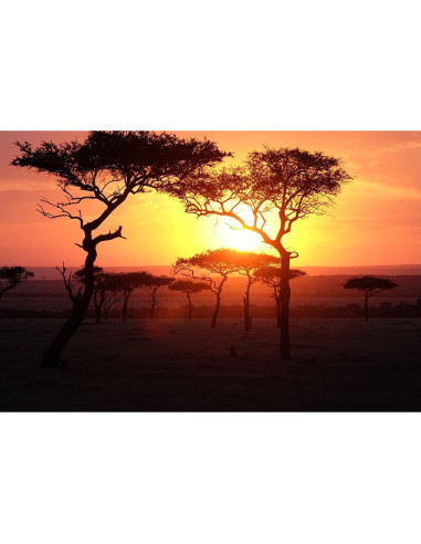 Lente Fujifilm XF 50-140mm F2.8 R LM OIS WR con Accesorios