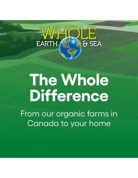 Suplemento Multivitamínico Vegano para Mujeres Factores Naturales 120 Tabletas Suplemento Multivitamínico Vegano para Mujeres Factores Naturales 120 Tabletas