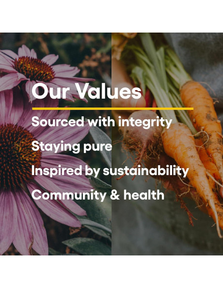 Vitamina C Masticable 500 mg Factores Naturales Tropical 180 Unidades Vitamina C Masticable 500 mg Factores Naturales Tropical 180 Unidades