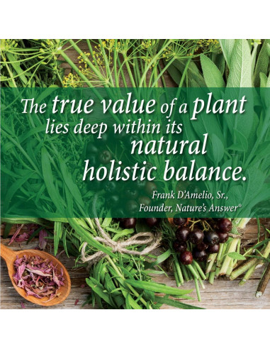 Vitamina C Líquida 1000mg Respuesta de la Naturaleza 236ml