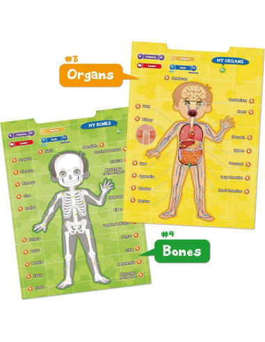 i-Poster Mi Cuerpo - Juguete Educativo Interactivo 56x47 cm