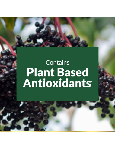 Suplemento Herbal Sambucus Nature's Bounty 630 mg 120 Cápsulas