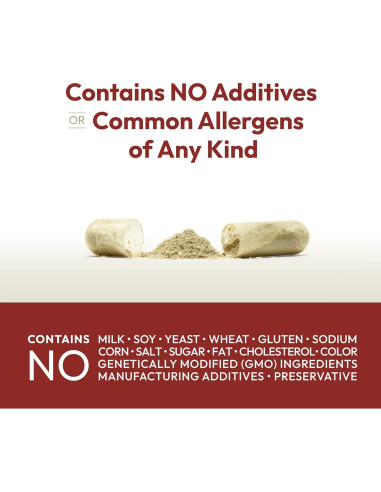 Suplemento de Hierro Plus Andrew Lessman 90 Cápsulas 18mg