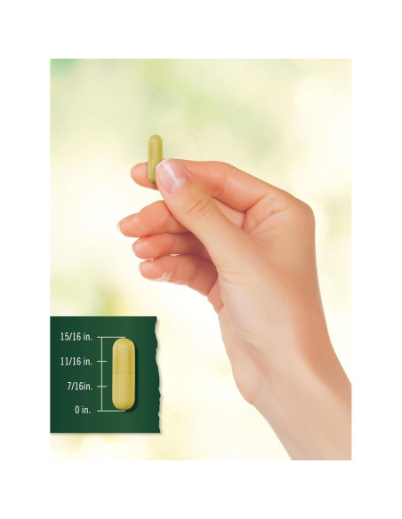 Suplemento de Cúrcuma Curcumina Tahoe Nutritionals 2400mg 400 Cápsulas