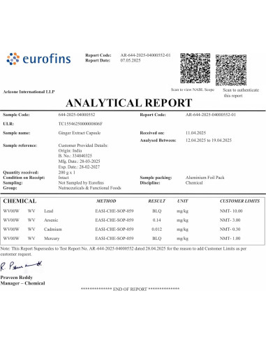 Cápsulas de Jengibre Puro STAY ALIVE 1000mg 120 Veganas