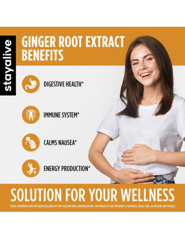 Cápsulas de Jengibre Puro STAY ALIVE 1000mg 120 Veganas